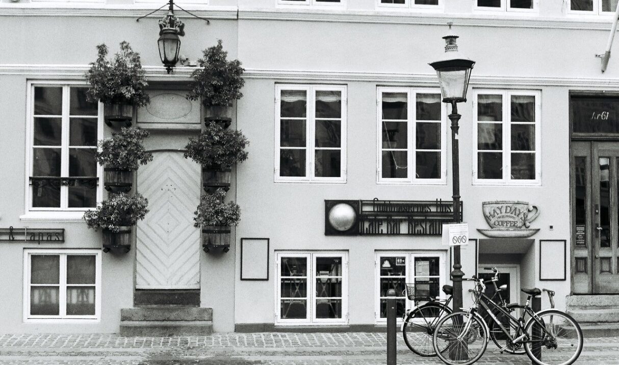 Sed magna dui, dignissim id felis vitae, consectetur