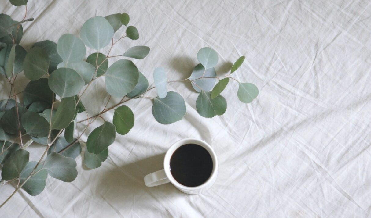 Pellentesque varius, diam vitae mattis luctus, mi mi cursus